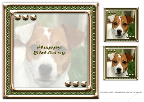  JJ LOVE MY DOG JACK RUSSELL 8X8 INSERT HAPPY BIRTHDAY