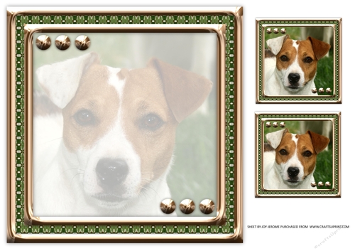 JJ LOVE MY DOG JACK RUSSELL 8X8 INSERT BLANK