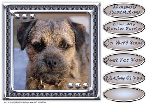  JJ LOVE MY DOG BORDER TERRIER 8X8