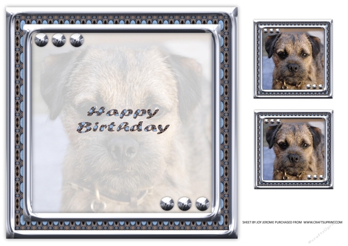 JJ LOVE MY DOG BORDER TERRIER 8X8 INSERT HAPPY BIRTHDAY.