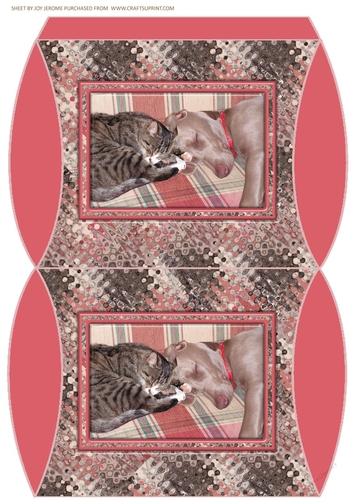 JJ FRIENDS FOREVER CAT AND DOG PILLOW BOX.