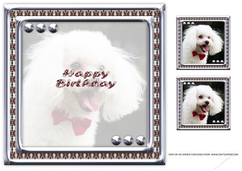  JJ LOVE MY DOG POODLE 8X8 INSERT HAPPY BIRTHDAY