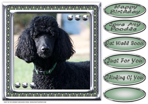 JJ LOVE MY DOG POODLE 2 8X8