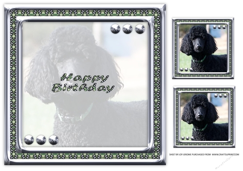 JJ LOVE MY DOG POODLE 2 8X8 INSERT HAPPY BIRTHDAY