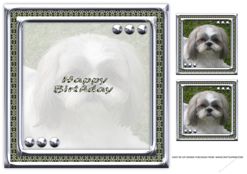 JJ LOVE MY DOG SHIH TZU 8X8 INSERT HAPPY BIRTHDAY