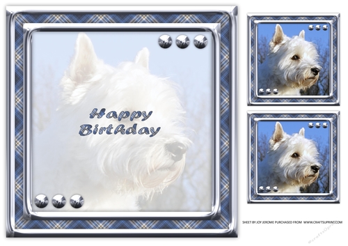 JJ LOVE MY DOG WEST HIGHLAND TERRIER OR WESTIE 8X8 INSERT HAPPY BIRTHDAY