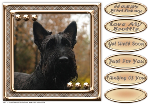 JJ LOVE MY DOG SCOTTISH TERRIER 8X8