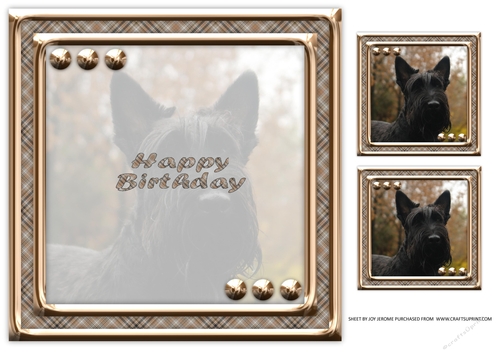 JJ LOVE MY DOG SCOTTISH TERRIER 8X8