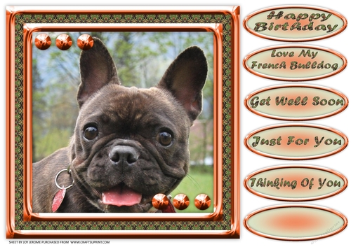 JJ LOVE MY DOG FRENCH BULLDOG 8X8