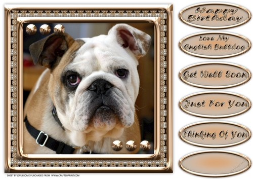 JJ LOVE MY DOG ENGLISH BULLDOG 8x8