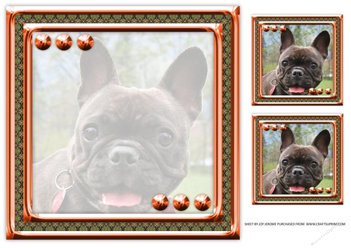  JJ LOVE MY DOG FRENCH BULLDOG 8X8 INSERT BLANK