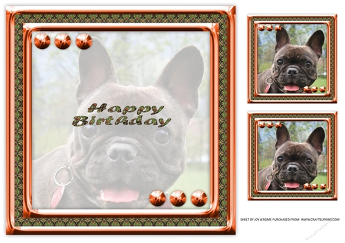  JJ LOVE MY DOG FRENCH BULLDOG 8X8 INSERT HAPPY BIRTHDAY
