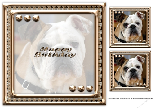 JJ LOVE MY DOG ENGLISH BULLDOG INSERT HAPPY BIRTHDAY