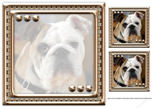 JJ LOVE MY DOG ENGLISH BULLDOG INSERT BLANK