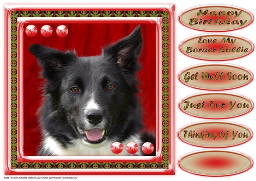 JJ LOVE MY DOG BORDER COLLIE 2 8X8