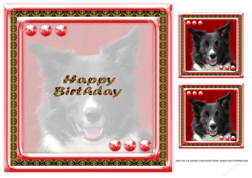 JJ LOVE MY DOG BORDER COLLIE 2 8X8 NSERT HAPPY BIRTHDAY
