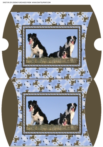 JJ FRIENDS FOREVER BORDER COLLIES PILLOW BOX