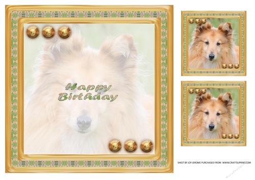 JJ LOVE MY SHETLAND SHEEPDOG OR SHELTIE 8X8 INSERT HAPPY BIRTHDAY