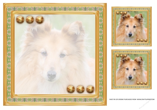  JJ LOVE MY SHETLAND SHEEPDOG OR SHELTIE 8X8 INSERT BLANK
