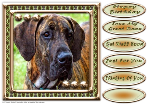 JJ LOVE MY DOG GREAT DANE 8X8