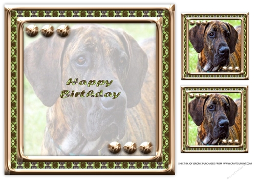 JJ LOVE MY DOG GREAT DANE 8X8 INSERT HAPPY BIRTHDAY.