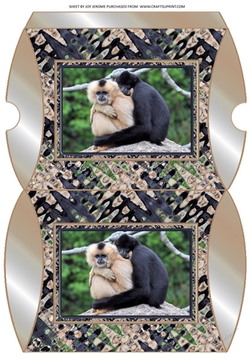 JJ FRIENDS FOREVER GIBBONS PILLOW BOX