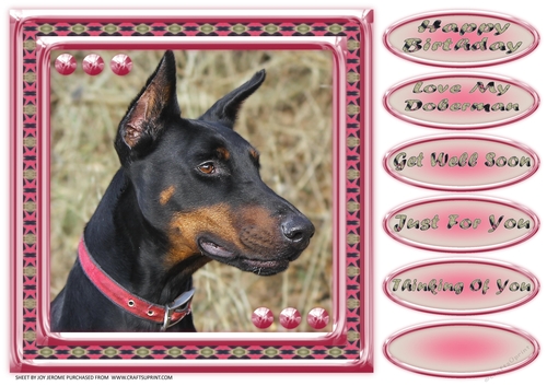 JJ LOVE MY DOG DOBERMAN 8X8