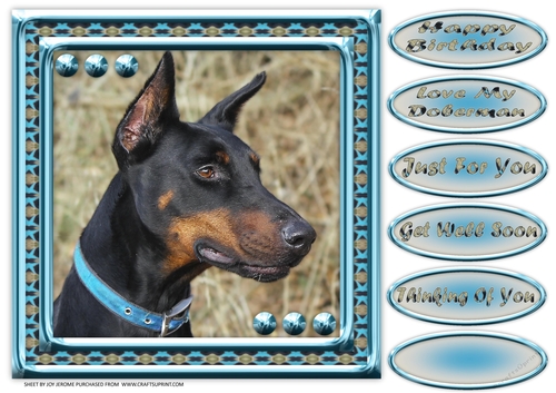 JJ LOVE MY DOG DOBERMAN 2 8X8