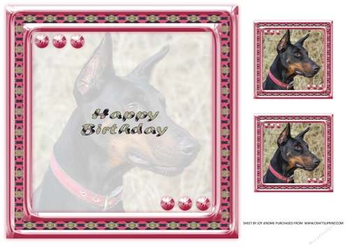  JJ LOVE MY DOG DOBERMAN 8X8 INSERT HAPPY BIRTHDAY