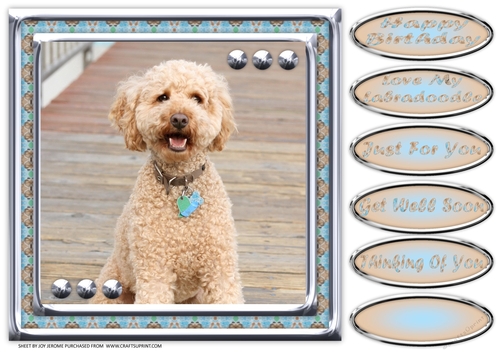JJ LOVE MY DOG LABRADOODLE 8X8