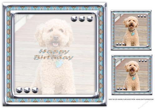 JJ LOVE MY DOG LABRADOODLE 8X8 INSERT HAPPY BIRTHDAY
