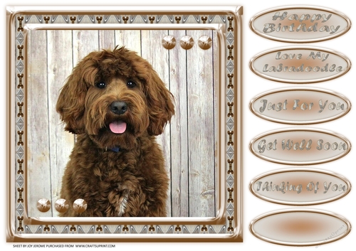 JJ LOVE MY DOG LABRADOODLE 2 8X8
