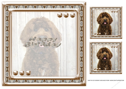  JJ LOVE MY DOG LABRADOODLE 2 8X8 INSERT HAPPY BIRTHDAY