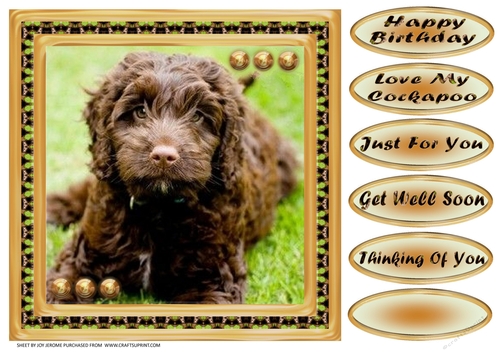 JJ LOVE MY DOG COCKAPOO 8X8
