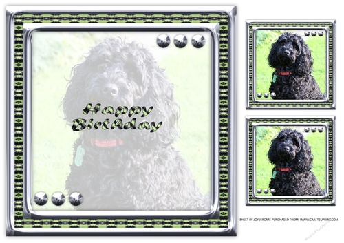  JJ LOVE MY DOG COCKAPOO 2 8X8 INSERT HAPPY BIRTHDAY