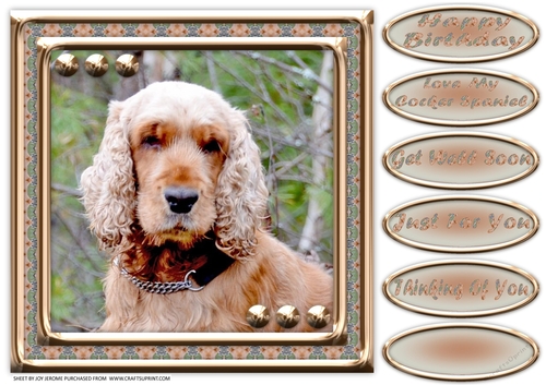  JJ LOVE MY DOG COCKER SPANIEL 1 8X8