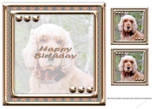 JJ LOVE MY DOG COCKER SPANIEL 1 8X8 INSERT HAPPY BIRTHDAY