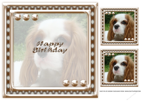 JJ LOVE MY DOG COCKER SPANIEL 2 8X8 INSERT HAPPY BIRTHDAY