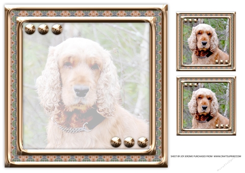 JJ LOVE MY DOG COCKER SPANIEL 1 8X8 INSERT BLANK