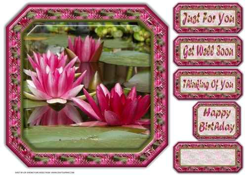 JJ WATER LILIES 8X8