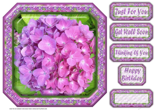 JJ HYRANGEA LAVENDER - PINK 8X8