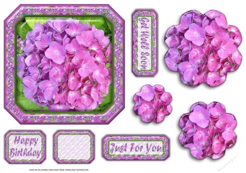 JJ HYRANGEA LAVENDER - PINK 6X6 PYRAMAGE