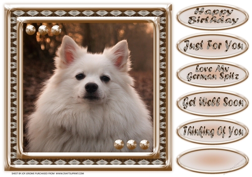 JJ LOVE MY DOG GERMAN SPITZ 8X8