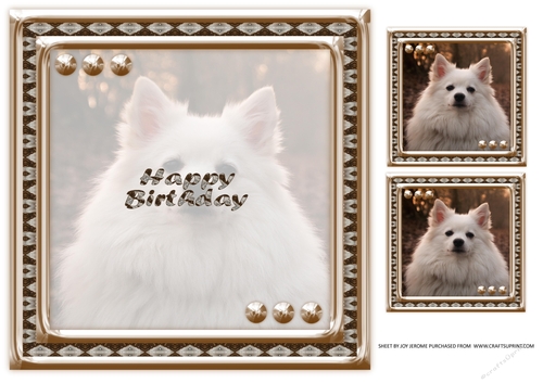 JJ LOVE MY DOG GERMAN SPITZ 8X8 INSERT HAPPY BIRTHDAY