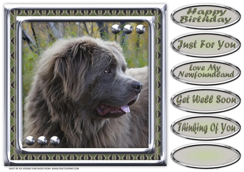 JJ LOVE MY DOG NEWFOUNDLAND 1 8X8