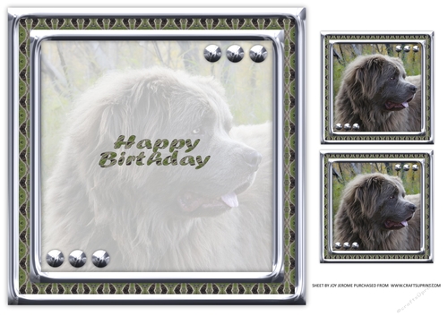  JJ LOVE MY DOG NEWFOUNDLAND 1 8X8 INSERT HAPPY BIRTHDAY