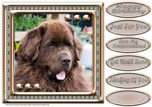 JJ LOVE MY DOG NEWFOUNDLAND 2 8X8