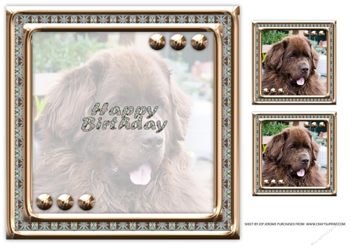 JJ LOVE MY DOG NEWFOUNDLAND 2 8X8 INSERT HAPPY BIRTHDAY