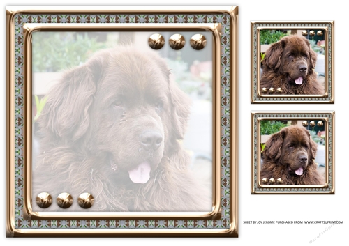 JJ LOVE MY DOG NEWFOUNDLAND 2 8X8 INSERT BLANK
