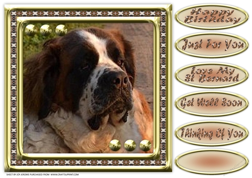 JJ LOVE MY DOG ST BERNARD 8X8